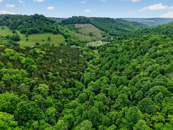 0 Club Springs Rd, Elmwood, TN 38560