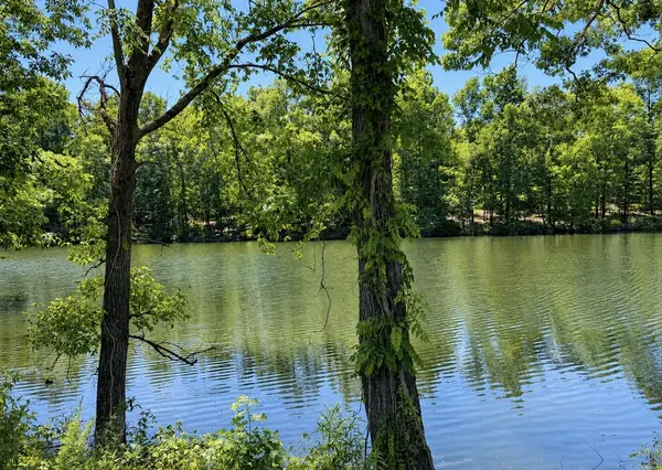 384 Duck Blind Rd, Clifton, TN 38425