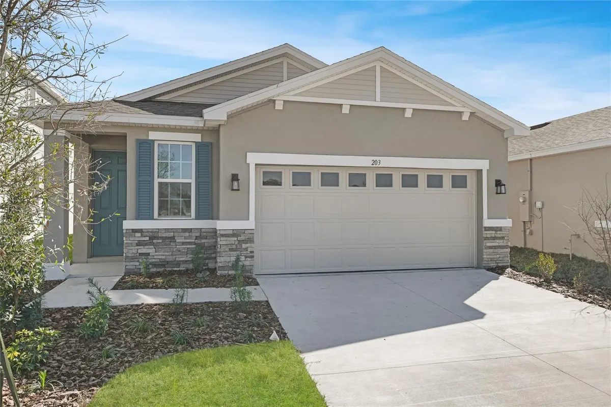 203 BULL FROG LN, Umatilla, FL 32784