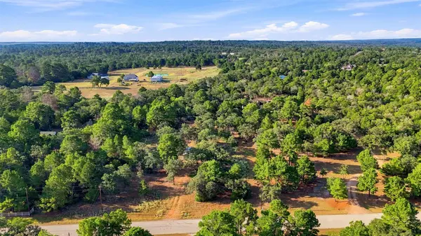 133 Roundup RDG, Smithville, TX 78957