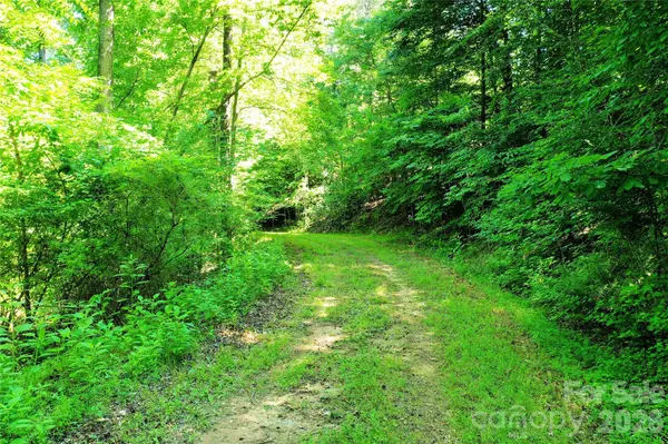 TBD River RD, Tryon, NC 28782