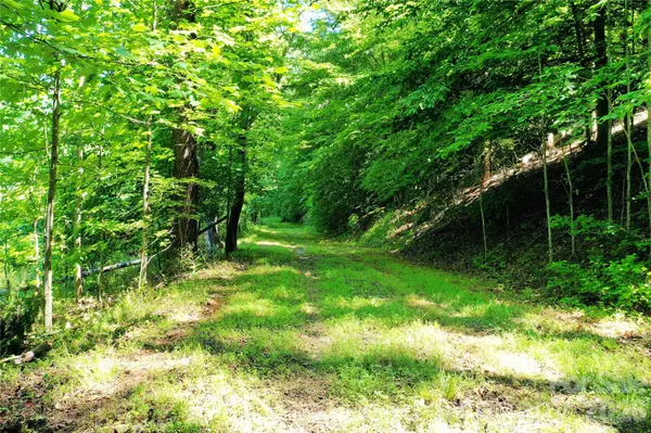 TBD River RD, Tryon, NC 28782
