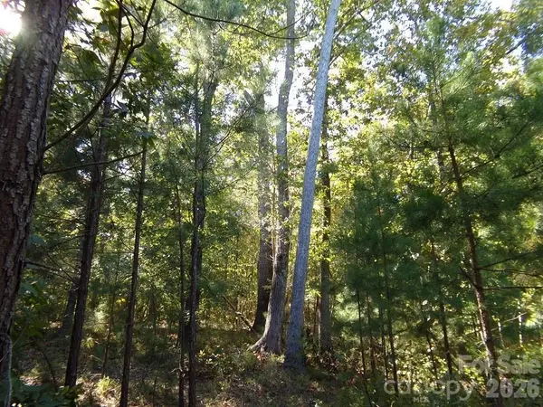 25 Ac Brandon RD, Clover, SC 29710