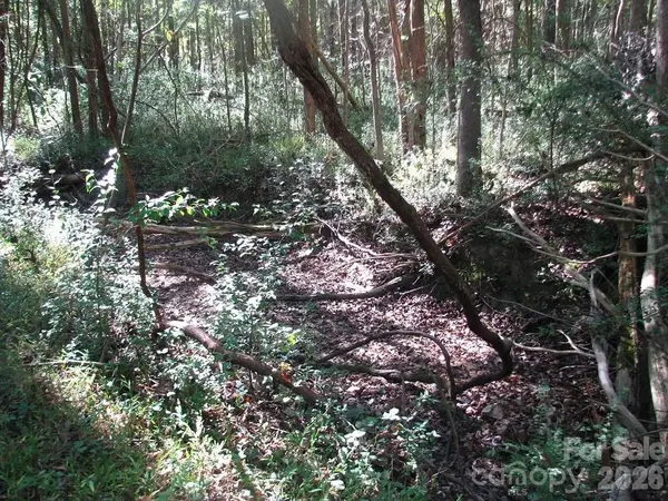 25 Ac Brandon RD, Clover, SC 29710