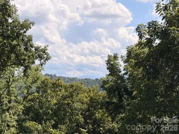 1057 Skyway DR, Marshall, NC 28753