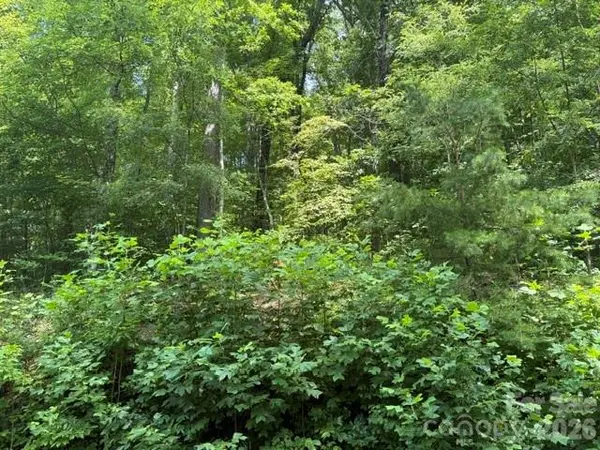194 Elk Hair DR #1,191,194,195,196,197, Cullowhee, NC 28723