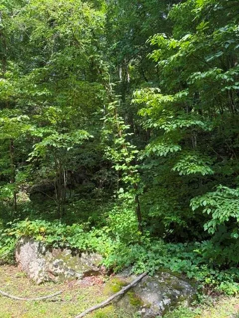 194 Elk Hair DR #1,191,194,195,196,197, Cullowhee, NC 28723