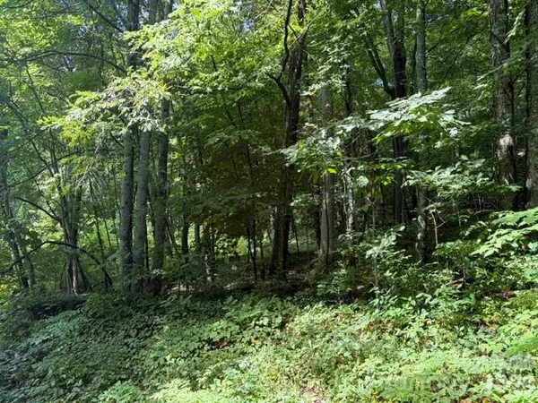 194 Elk Hair DR #1,191,194,195,196,197, Cullowhee, NC 28723
