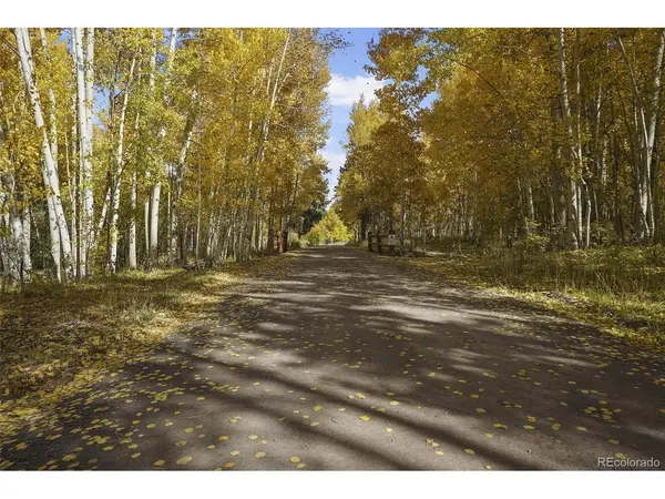 136 Elk Meadow, Antonito, CO 81120