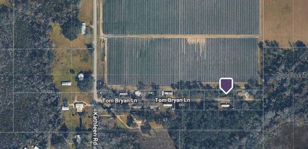 3617 TOM BRYAN LN, Lakeland, FL 33810