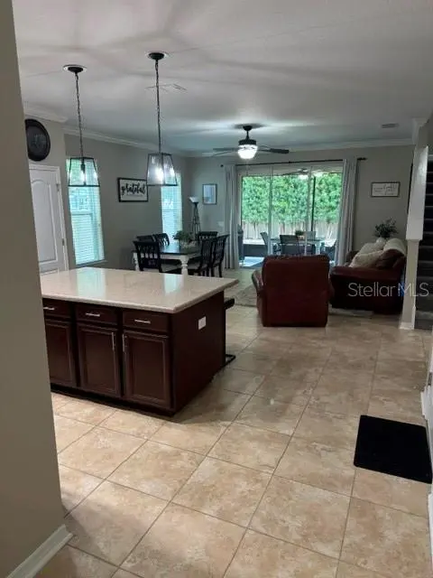 8221 NECTAR RIDGE CT, Odessa, FL 33556