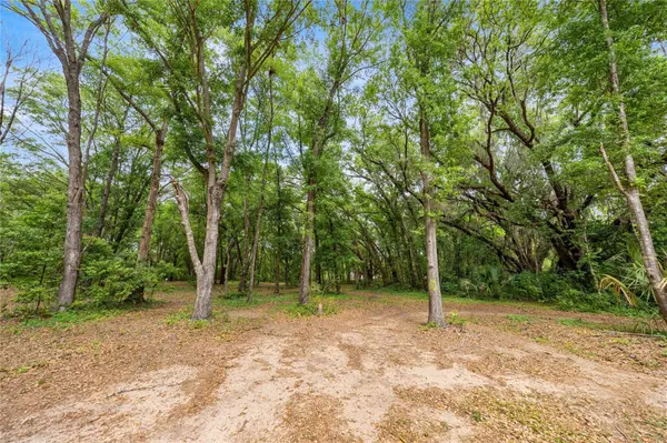 12882 SE 78TH TER, Summerfield, FL 34491