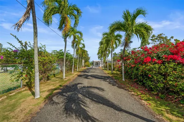 KM 1.1 466, Isabela, PR 00662