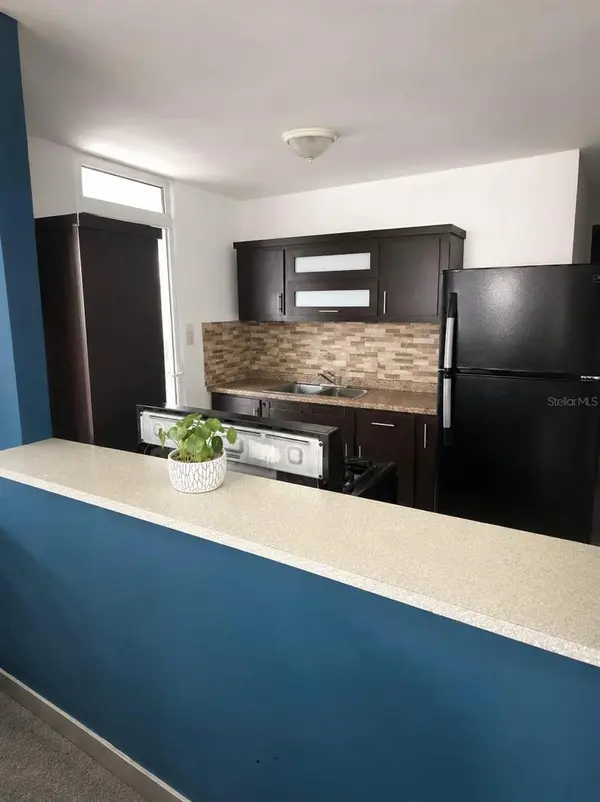 Calle 6 B11 URB VENTURINI, San Sebastian, PR 00685