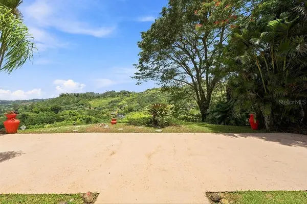 Barrio Mana CARR 802 KM 3.6 MANA WARD, Corozal, PR 00783