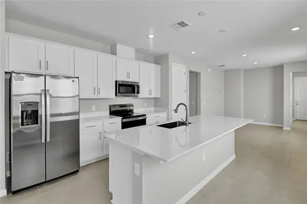 203 BULL FROG LN, Umatilla, FL 32784