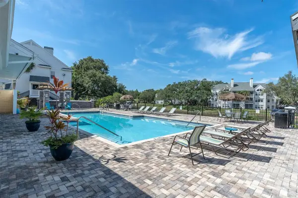3313 HAVILAND CT #203, Palm Harbor, FL 34684