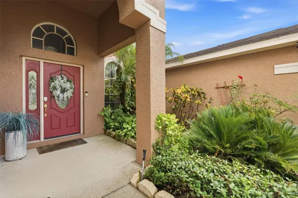 8518 PARROTS LANDING DR, Tampa, FL 33647