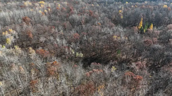 TBD Grace Lake RD, Sandstone, MN 55072