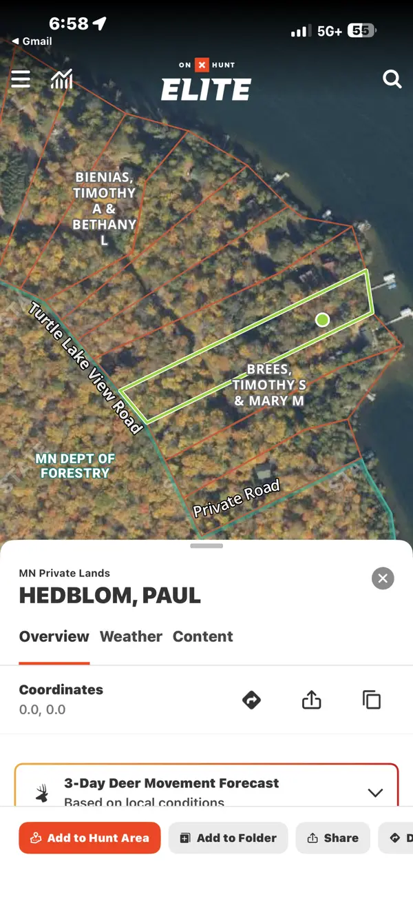 41622 Turtle Lake View Trail, Bigfork, MN 56628