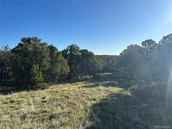 Lot 165 Silver Spurs Ranch, Walsenburg, CO 81089
