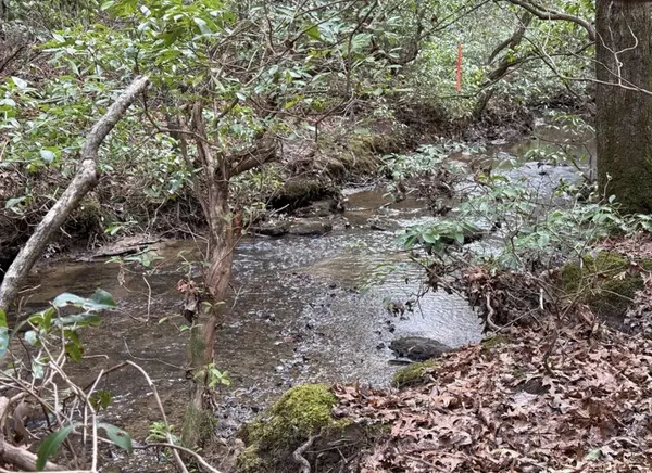 2000 Street Place Loop, Monterey, TN 38574