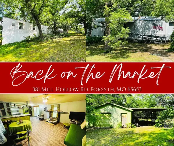 381 Mill Hollow Road,  Forsyth,  MO 65653
