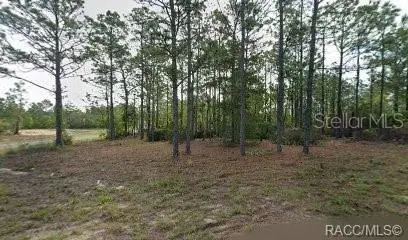 10599 N CALDERA AVE, Citrus Springs, FL 34433