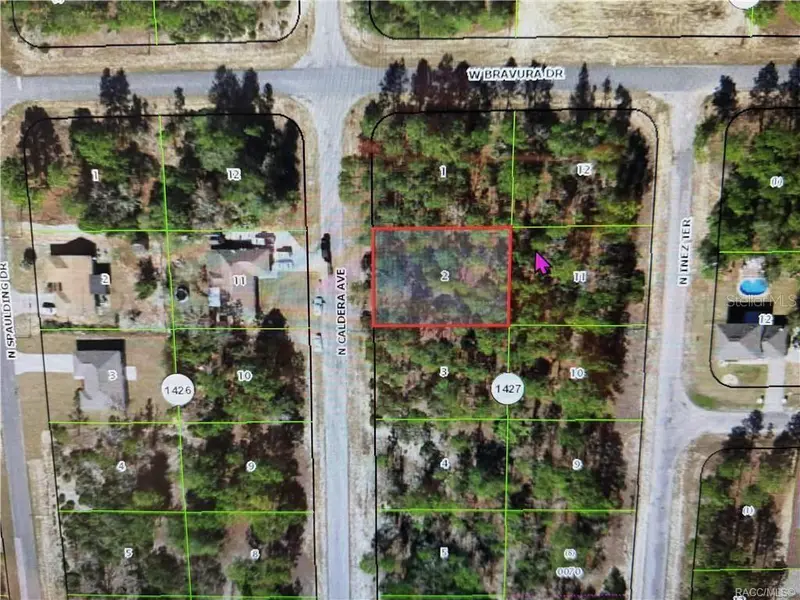 10585 N CALDERA AVE, Citrus Springs, FL 34433