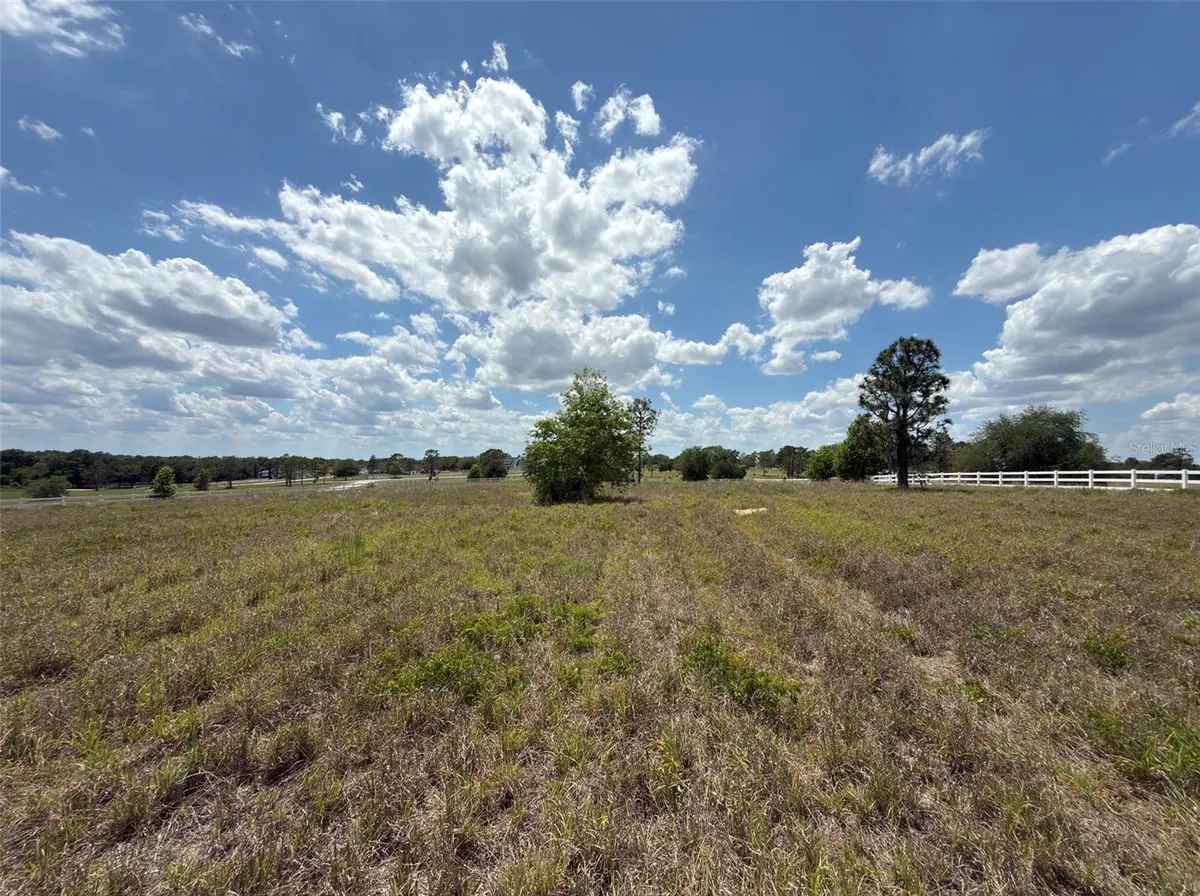 6115 RANCH LAKE RD, Groveland, FL 34736
