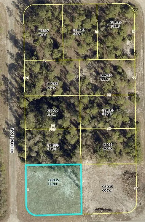 1015 KODIAK AVE, Lehigh Acres, FL 33974