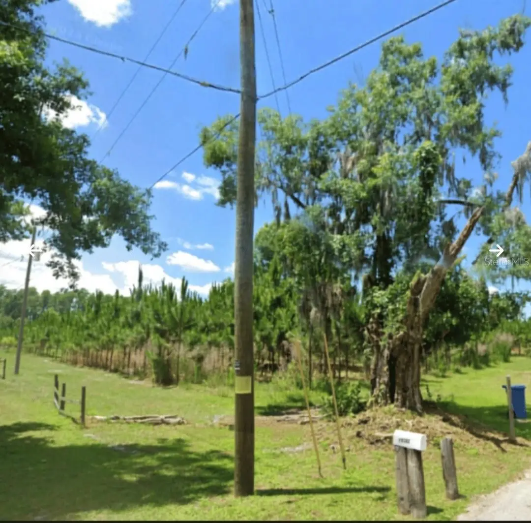 HOLLY LN, Lutz, FL 33558
