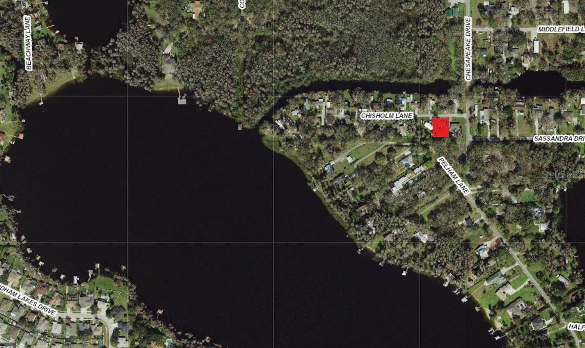 14328 CHISHOLM LN, Odessa, FL 33556