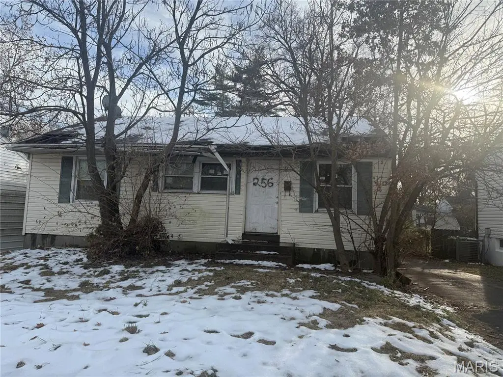 256 Shepley DR, St Louis, MO 63137