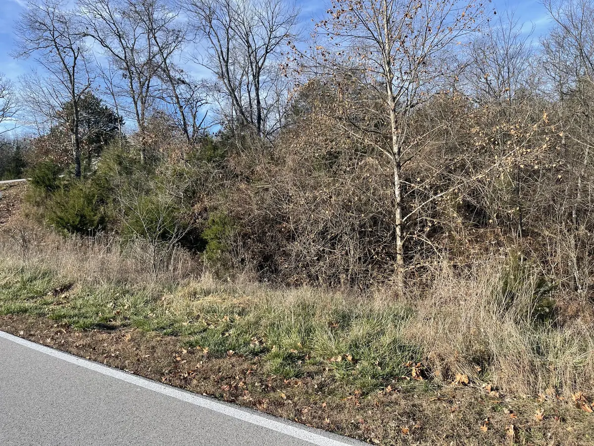 Lot 206 Black Forest Lane, Reeds Spring, MO 65737