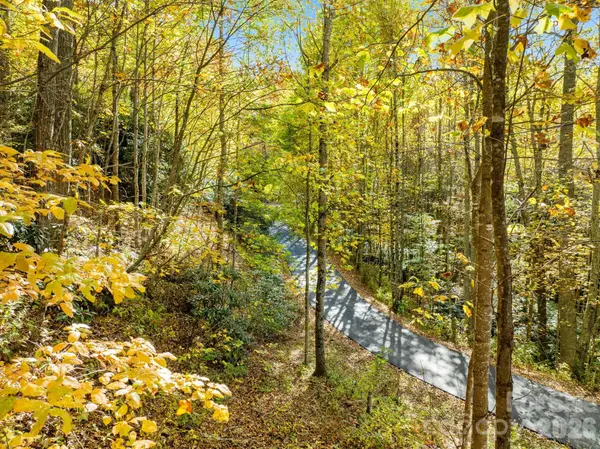 99999 Lytle Cove RD, Swannanoa, NC 28778