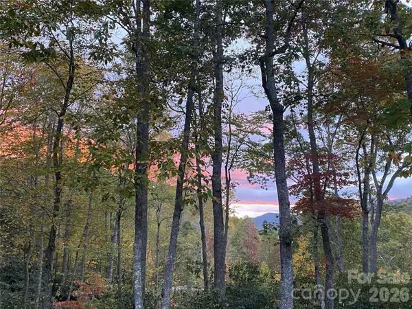 102 and 104 Carriage DR, Fairview, NC 28730