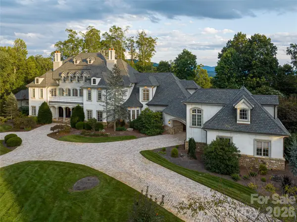316 S Braeside CT, Asheville, NC 28803
