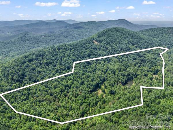 980 Mountain Forest DR, Union Mills, NC 28167
