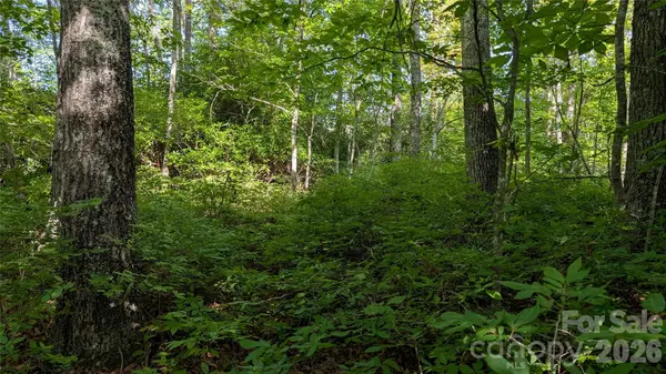 TBD Kelly Mountain RD #19, Brevard, NC 28712