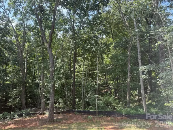 436 Dublin LN, Columbus, NC 28722