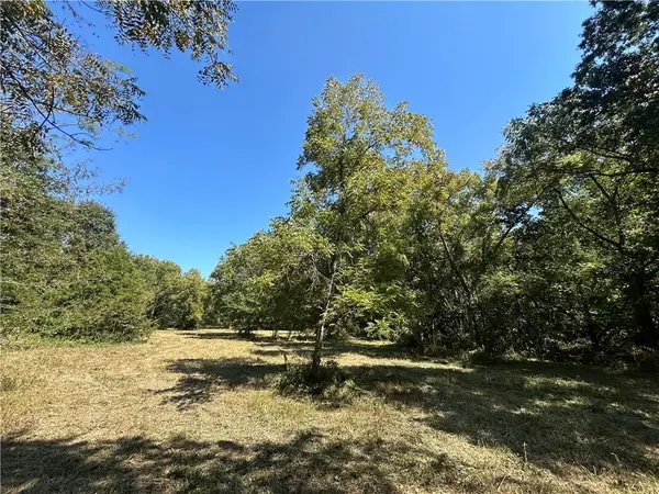 471 SE 1131 RD, Clinton, MO 64735