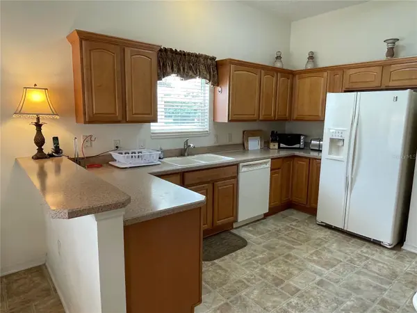641 STRATFORD LN, The Villages, FL 32162
