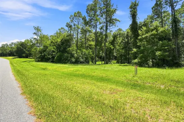 24150 GREENWOOD XING, Eustis, FL 32736
