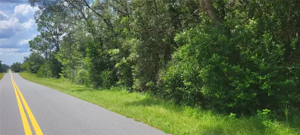 0 SW BEACH BLVD, Dunnellon, FL 34431