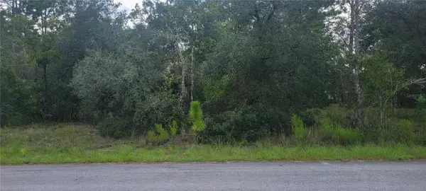 0 SW BIG BEAR RDG, Dunnellon, FL 34431
