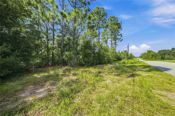 00 SW FLORAL CT, Dunnellon, FL 34431