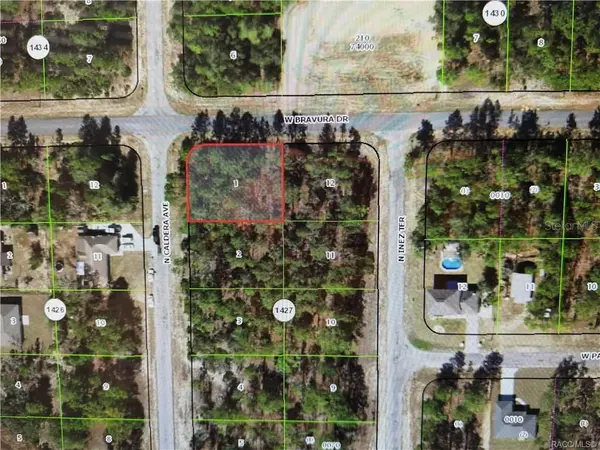 10599 N CALDERA AVE, Citrus Springs, FL 34433