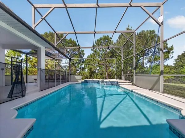 219 BLUE HERON CT, Davenport, FL 33837