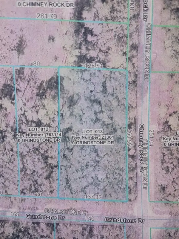 GRINDSTONE DR, Webster, FL 33597